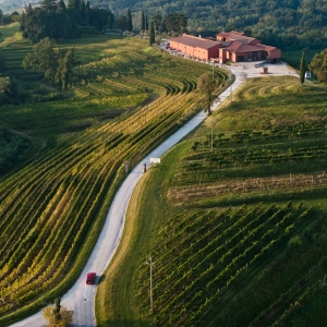 Rocca Bernarda - Vigneti - Mario Verin