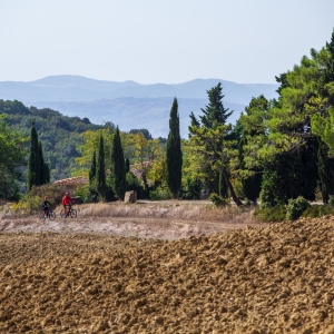 Escursione in bicicletta tra Volterra e San Gimignano - Nicola Santini