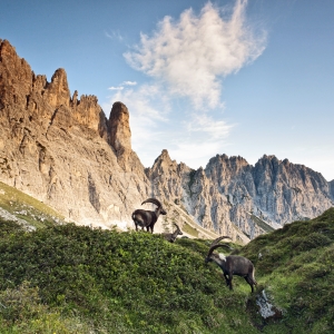 Val di Suola - Luciano Gaudenzio