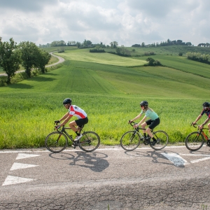 Cyclists in the countryside - Terrabici