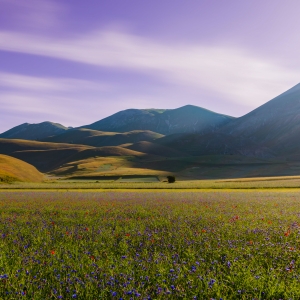Pian Perduto - fioritura - Regione Marche