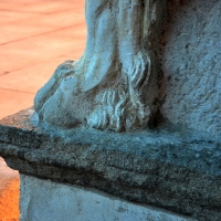 Zampa del Leone, Facciata del Duomo photo by Chiara Salazar Chiesa