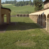 Fianco destro del campo - Manuel.frassinetti - Castelvetro di Modena (MO)