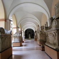 Modena Pal. Musei - Marco bordini - Modena (MO)