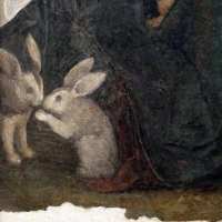 Correggio, madonna dei limoni, 1511, 02 conigli - Sailko - Modena (MO)