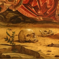 Francesco bianchi ferrari, crocifissione coi ss. girolamo e francesco (pala delle tre croci), 1490-95 ca. 09 teschio e mandibola - Sailko - Modena (MO)