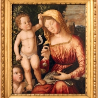 Giovan francesco caroto, madonna col bambino e san giovannino, 1501, 01 - Sailko - Modena (MO)