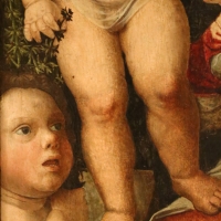 Giovan francesco caroto, madonna col bambino e san giovannino, 1501, 02 - Sailko - Modena (MO)