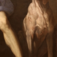 Guido reni, san rocco in carcere, 1617-18, 04 cane - Sailko - Modena (MO)