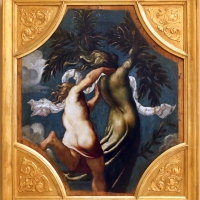 Tintoretto, tavole per un soffitto a palazzo pisani in san paterniano a venezia, 1541-42, apollo e dafne - Sailko - Modena (MO)