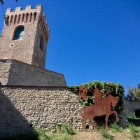 immagine da Castello di Montecuccolo