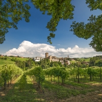 Il castello in versione estiva - Angelo nastri nacchio - Castelvetro di Modena (MO)