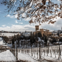 L'inverno fra i filari al Castello di Levizzano