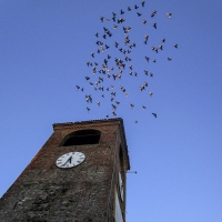 Scocca l'ora della primavera sul borgo - Luca Nacchio - Castelvetro di Modena (MO)