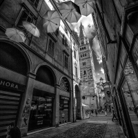 Se passate da Modena e piove, gli ombrelli giÃ  ci sono - Angelo nastri nacchio - Modena (MO)
