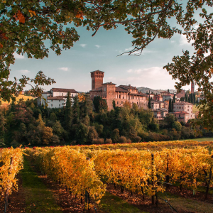 Visita guidata al Castello di Levizzano