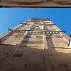 Torre Ghirlandina dal basso - Rondinone Carlo