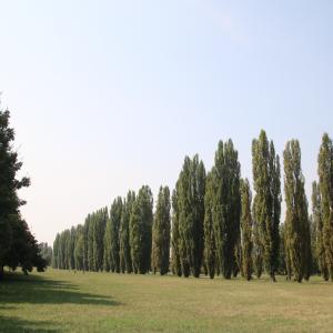 Parco Ducale (Sassuolo) 08 - Mongolo1984