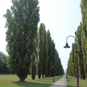 Parco Ducale (Sassuolo) 23 - Mongolo1984