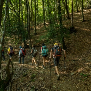 Pellegrini sulla Via Francigena attraversano un bosco sulla tappa Passo della Cisa-Pontremoli - ENIT SpA