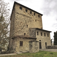 Castello Dal Verme - Carlo grifone