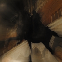 Cavallo di notte, mosso - Ele.vt - Piacenza (PC)