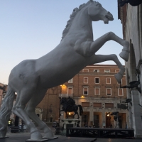 immagine da Statue Equestri Farnesiane