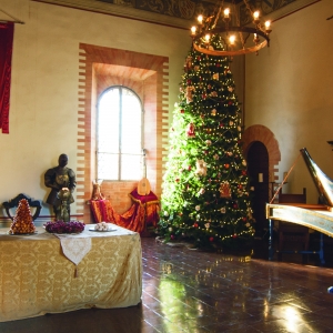Castello d'Inverno: La Sala delle Armi - Maria Rita Trecci