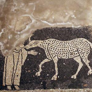 Basilica di San Savino (Piacenza), mosaico con segni zodiacali entro medaglioni, prima metà del secolo xii 03 - Mongolo1984