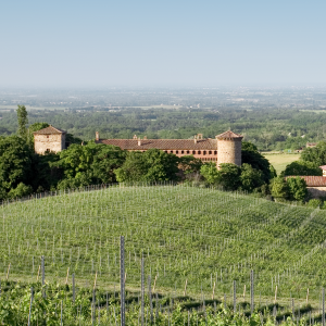 image from Cantine Luretta