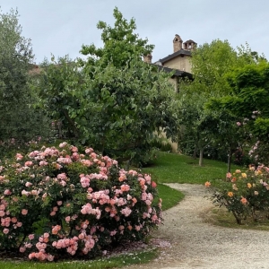 image from Taverna Medievale del Castello di Gropparello image from Taverna Medievale del Castello di Gropparello