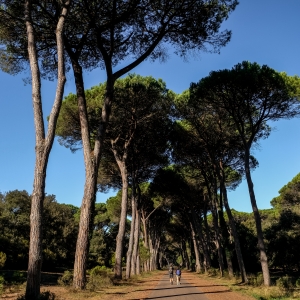 Parco di Migliarino, San Rossore e Massaciuccoli - Nicola Santini