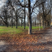 Scorcio del parco ducale di Parma - Goethe100