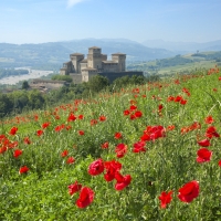 Il Castello di Torrechiara - Enrico Robetto