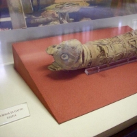 Mummia felina egizia