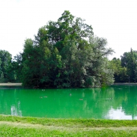 Parco Ducale verde su verde - Clawsb - Parma (PR)