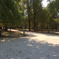 Viale del Parco Ducale - Simo129