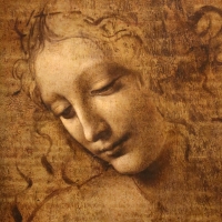 Leonardo da vinci, testa di fanciulla detta la scapigliata, 1500-10 ca., disegno su tavola, 02 - Sailko - Parma (PR)