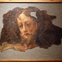 Michelangelo anselmi, testa del battista, 1530 ca - Sailko - Parma (PR)