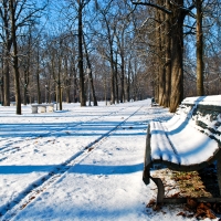 La neve al parco ducale - Davide Fornari