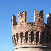 Rocca Sanvitale - Torre - Micronautilus