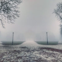 Nebbia a parco ducale - Fedenew1983 - Parma (PR)