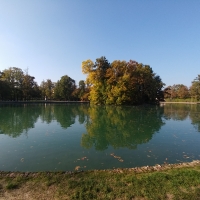 20171015 160620 lago parco ducale - Marco Tommesani - Parma (PR)