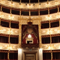 Teatro Regio IMG 4958 - Giulschel - Parma (PR)