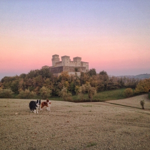 Castello di Torrechiara, dalla collina con cani - Assapora Parma