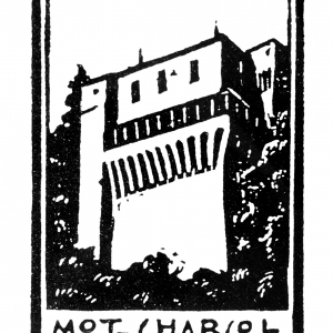 Logo del castello - famiglia Marchi