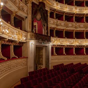 Palchi Centrali Palco Reale Teatro Regio Parma - Maurizio Moro5153