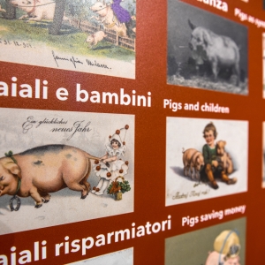 Museo del Culatello e del Masalén - postcard collection - Luca Rossi
