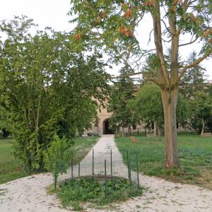 Rocca Sanvitale (Sala Baganza) - vialetto d'ingresso posteriore 1 2019-09-16 - Parma1983