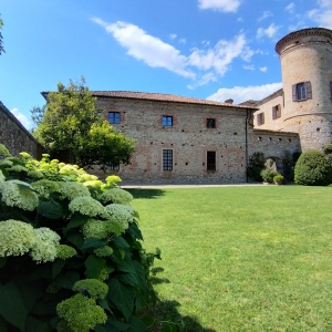 Castello di Scipione dei Marchesi Pallavicino - Particolare giardino con Ortensie Annabelle - Castello di Scipione